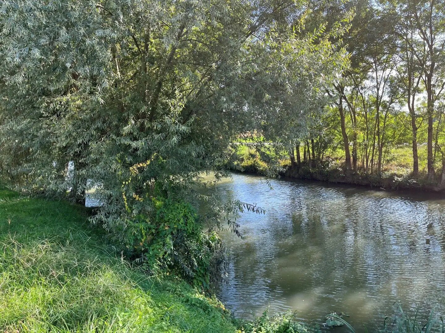 Maison à vendre, 145m², Damvix