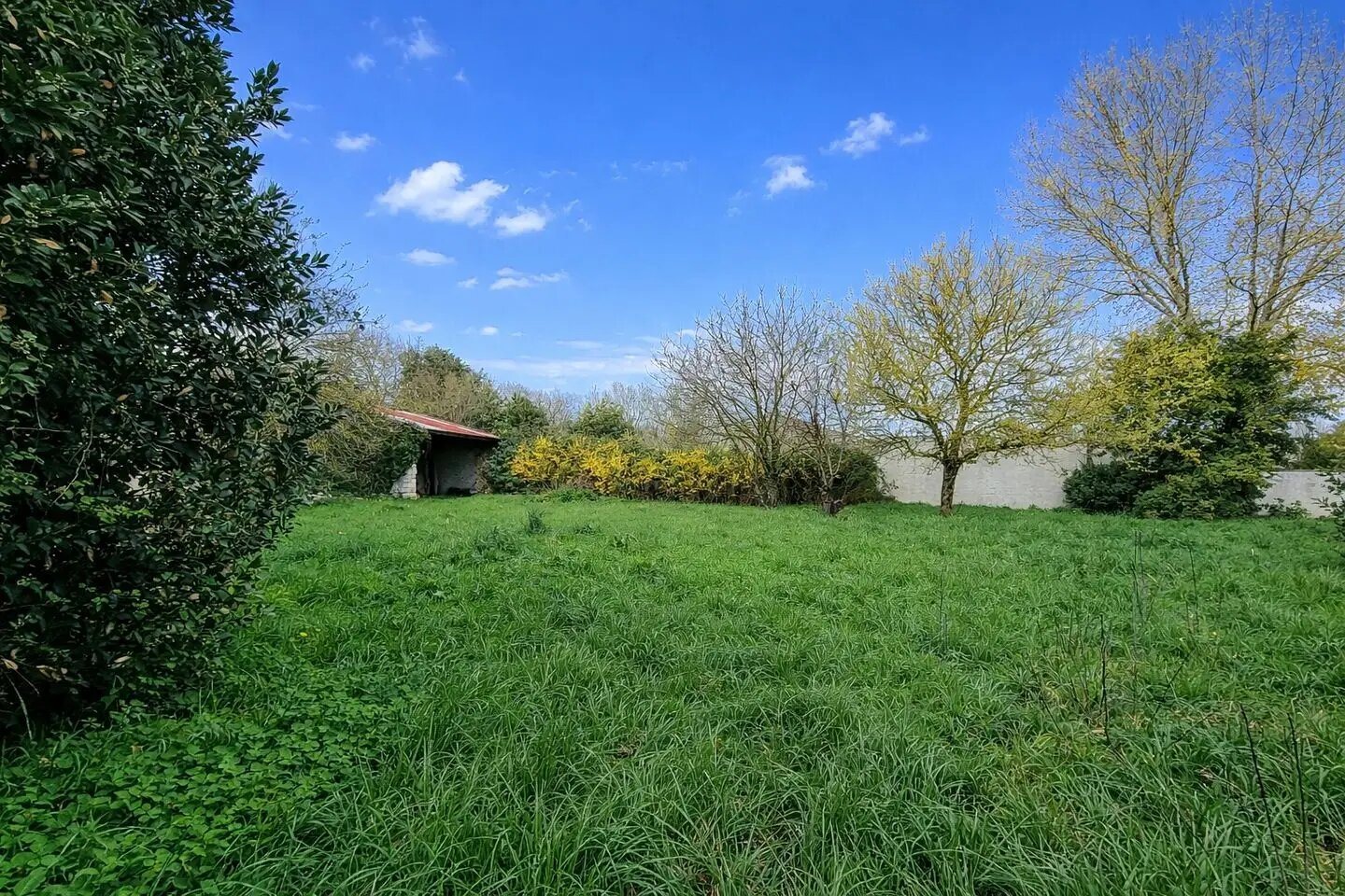 Maison à vendre, 110m², Surin