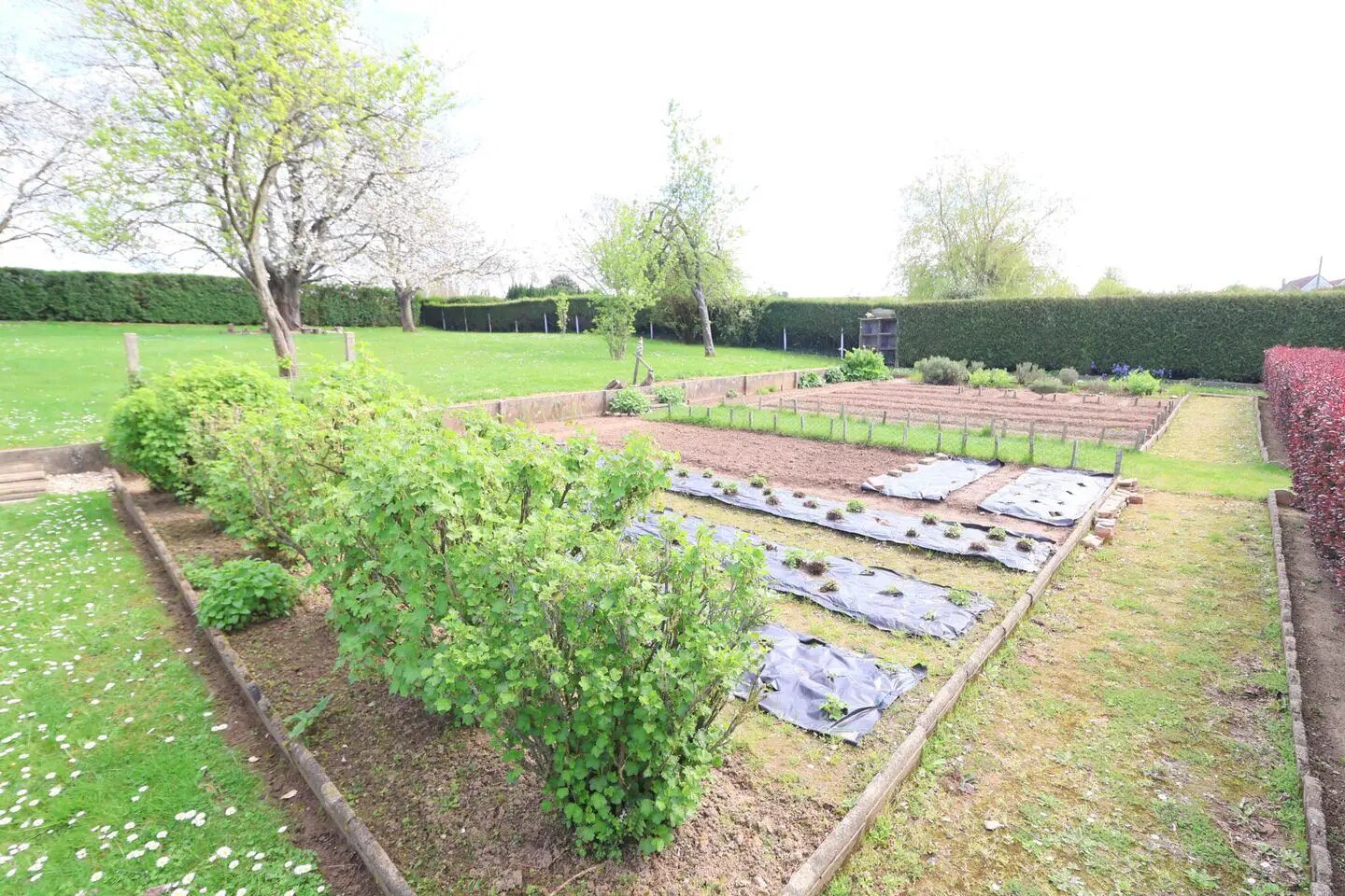Maison à vendre, 170m², Estréelles