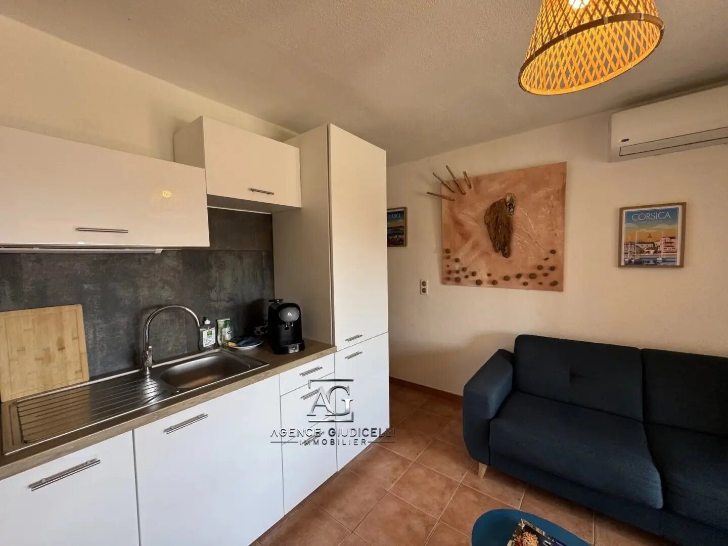 Appartement à vendre, 26m², Linguizzetta