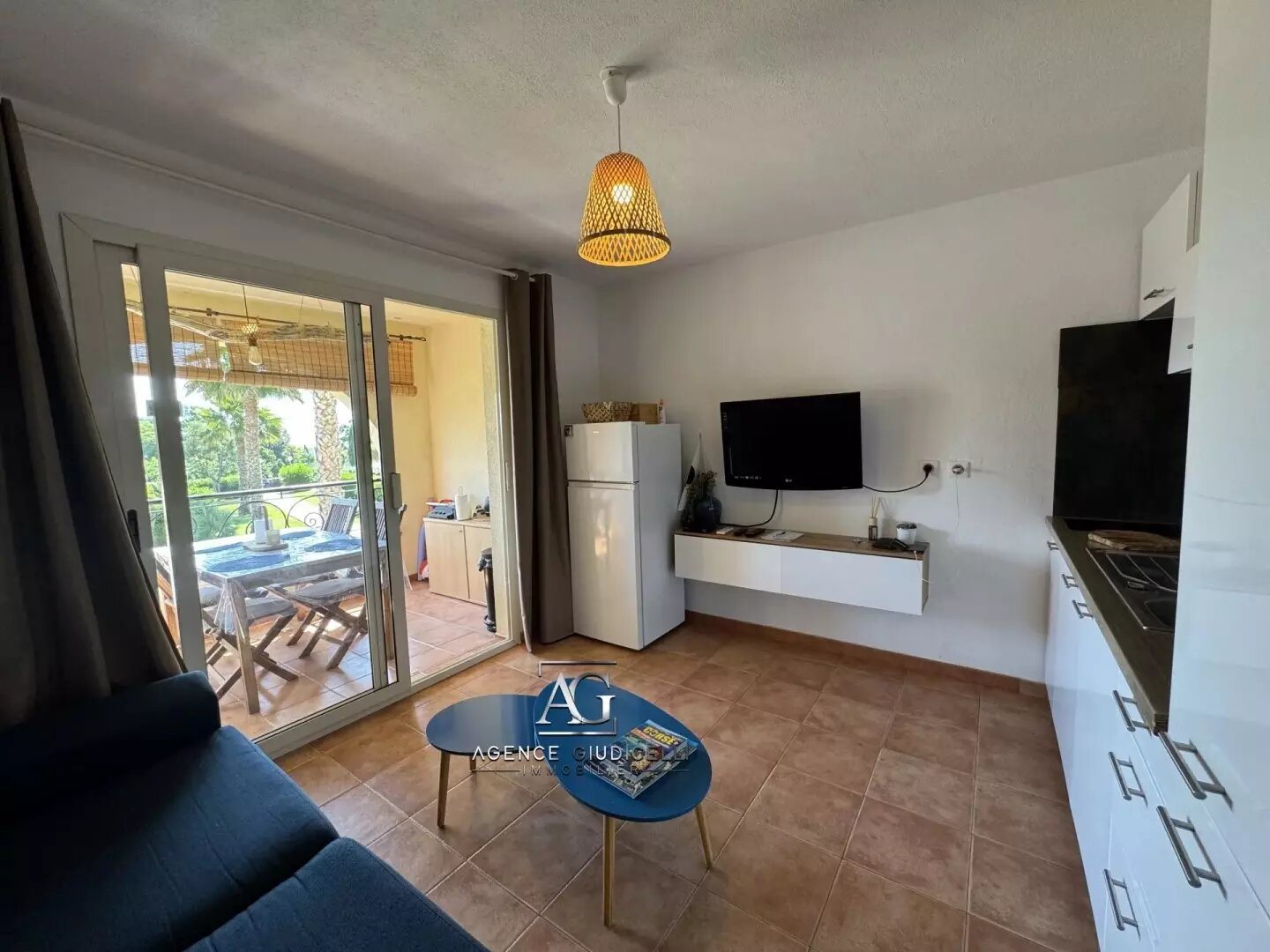 Appartement à vendre, 26m², Linguizzetta