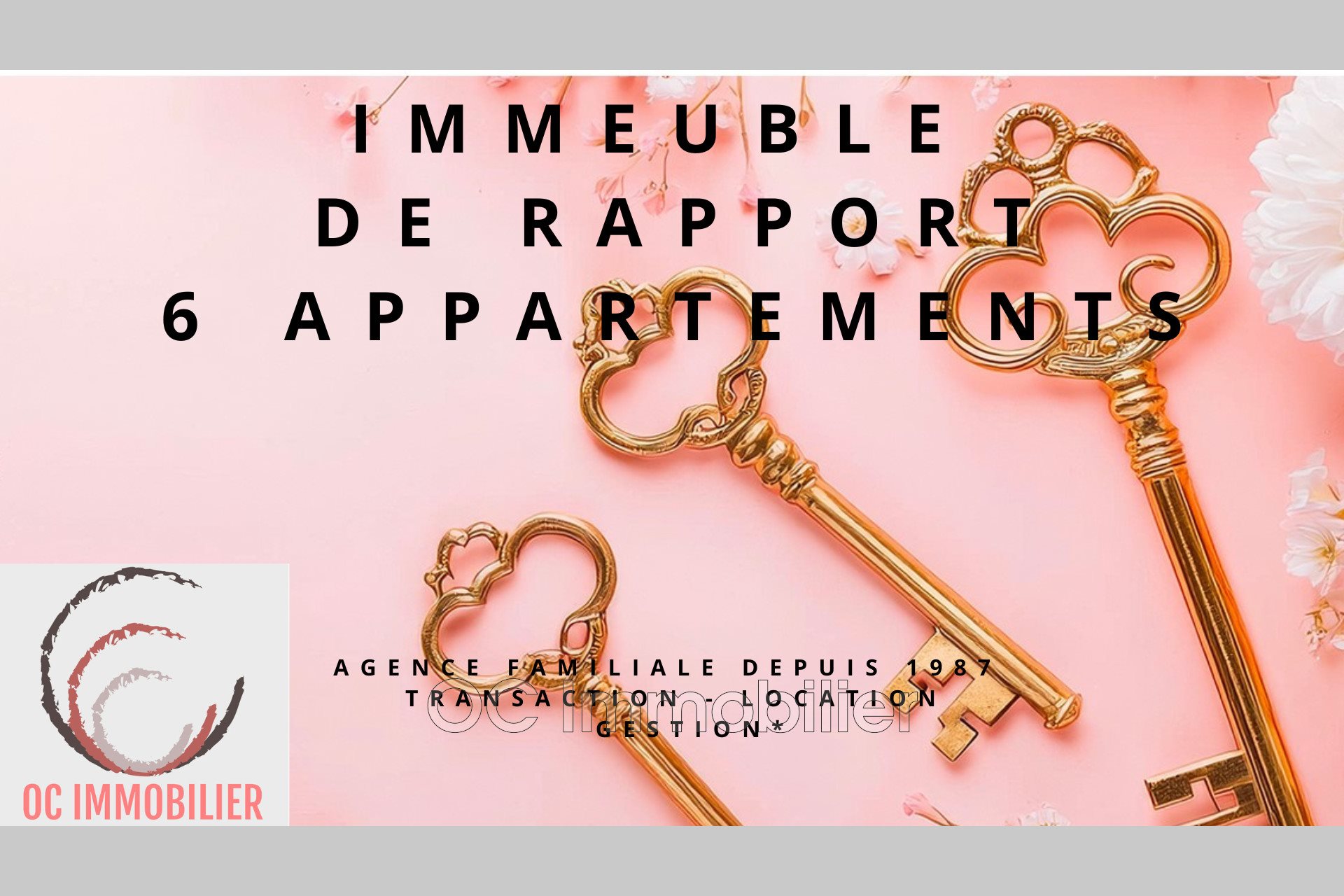 Maison à vendre, 240m², Elne
