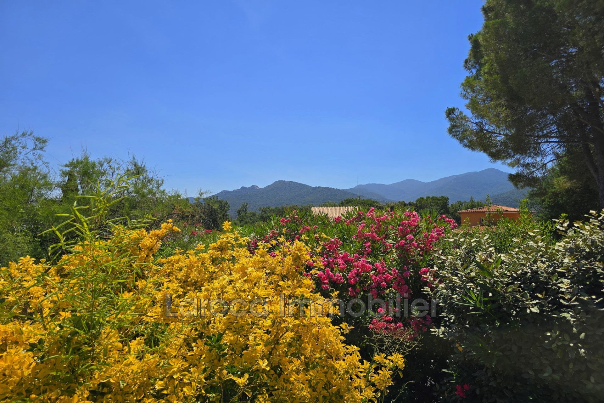 Maison à vendre, 117m², Laroque-des-Albères