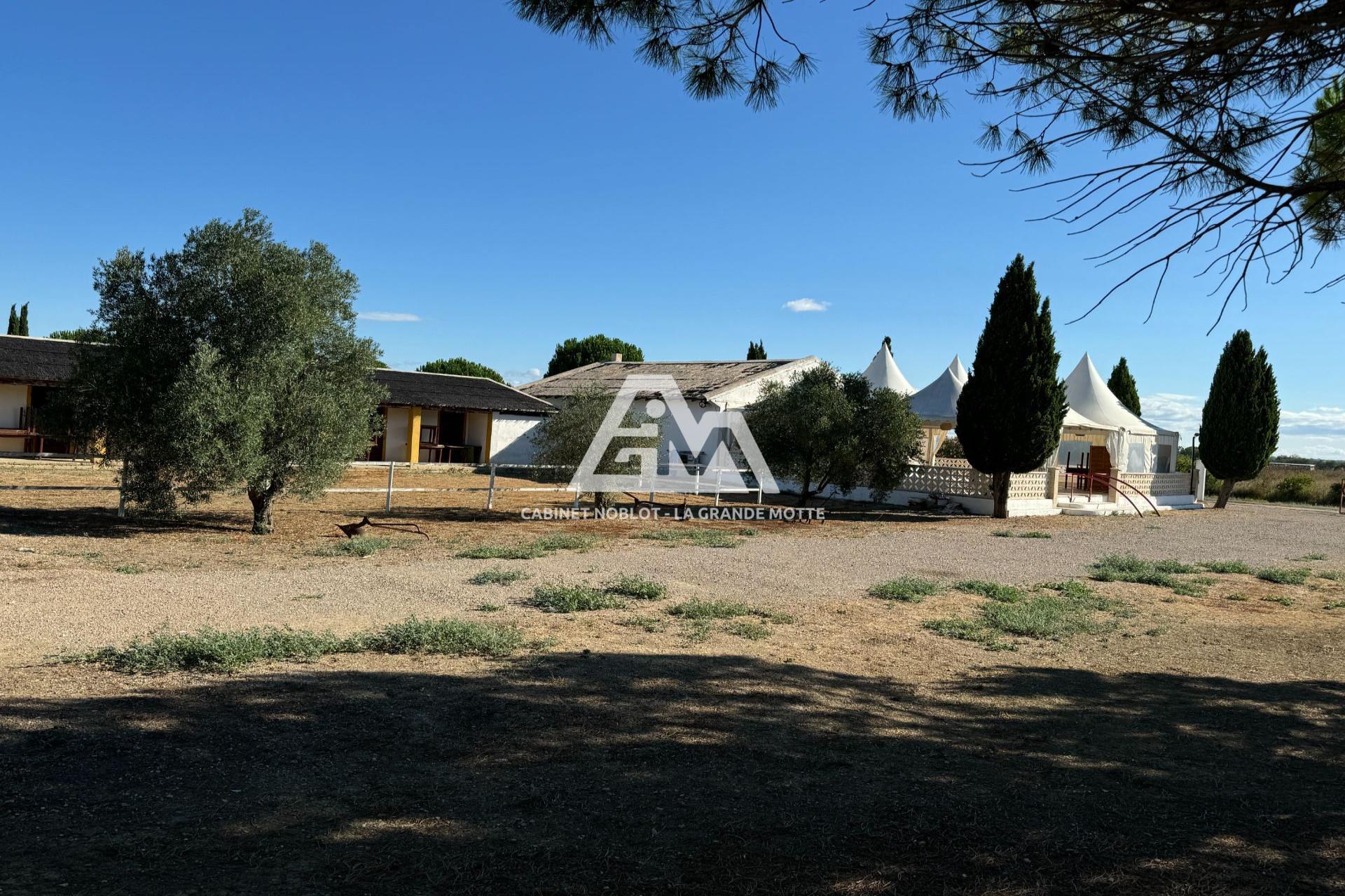 Maison à vendre, NaNm², Saint-Laurent-d'Aigouze