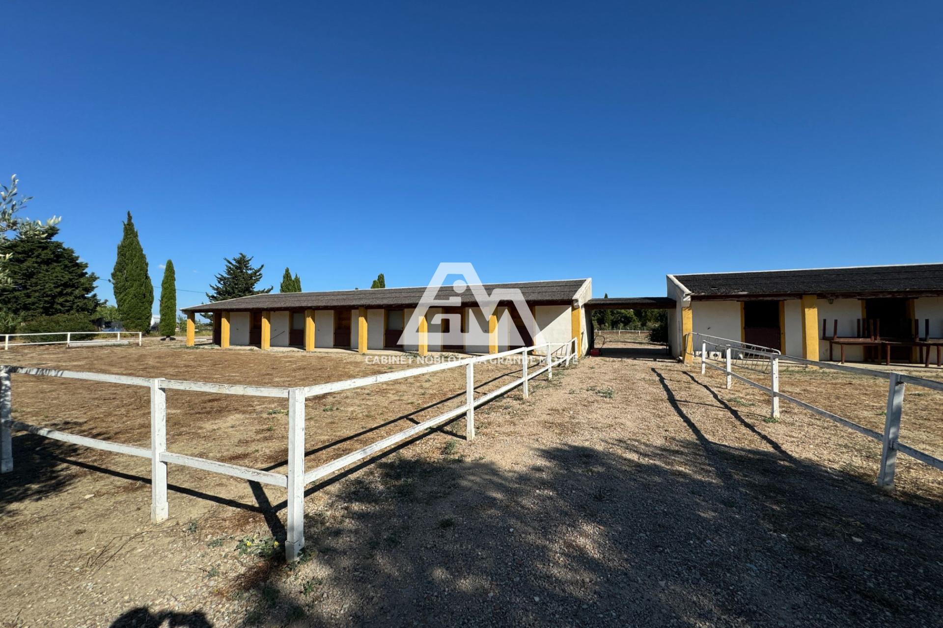 Maison à vendre, NaNm², Saint-Laurent-d'Aigouze