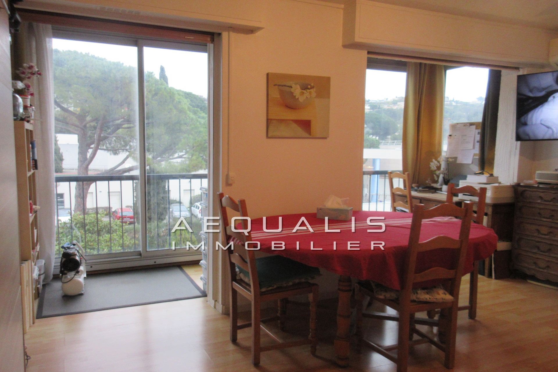 Appartement à vendre, 24m², Cagnes-sur-Mer