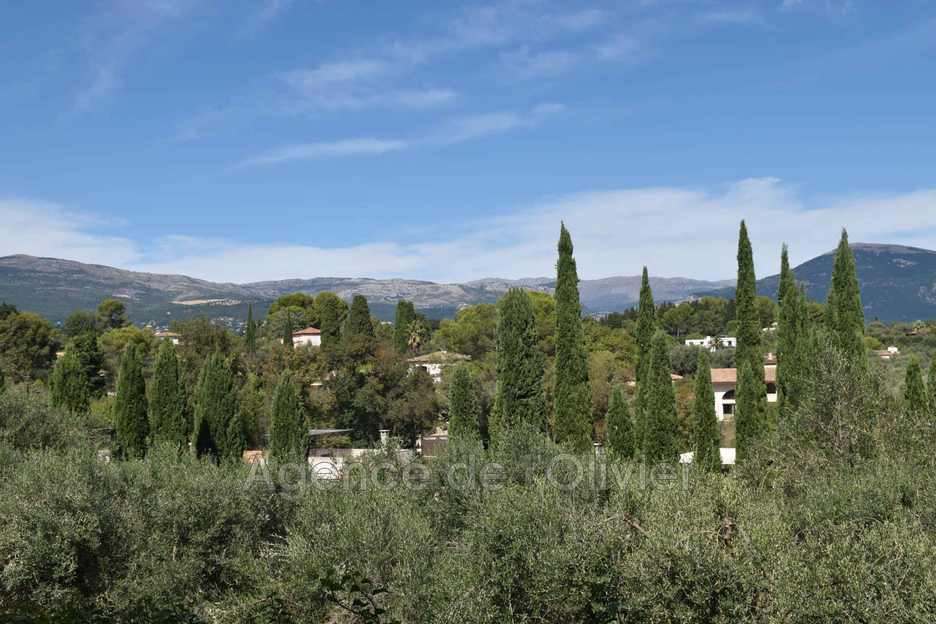 Maison à vendre, 240m², Valbonne