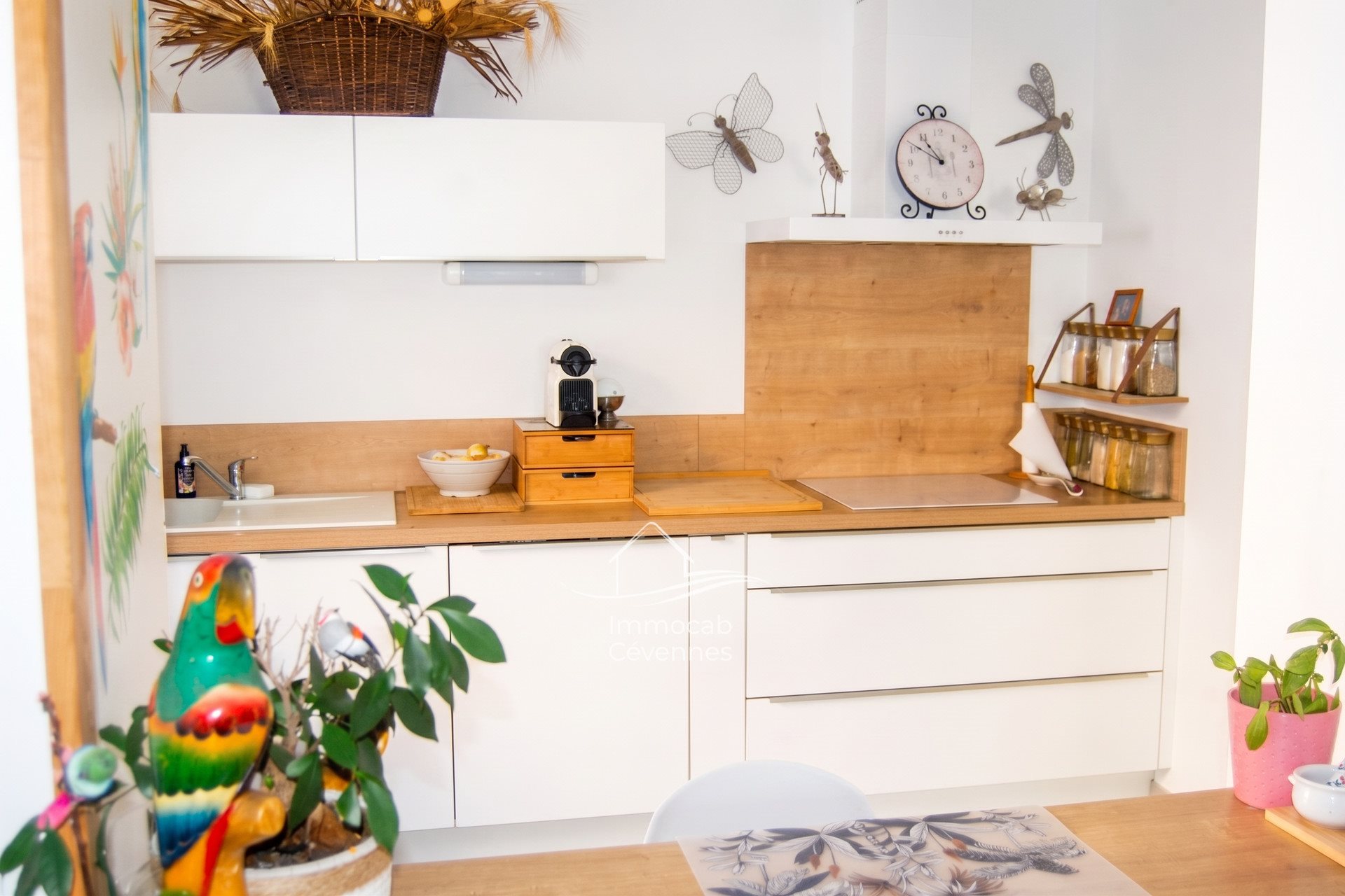 Appartement à vendre, 77m², Alès