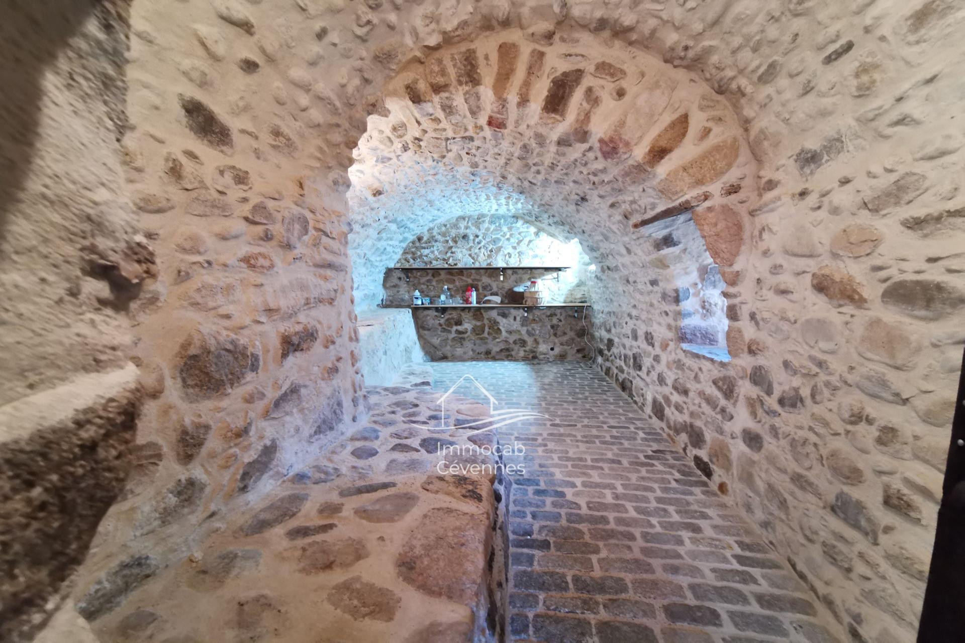 Maison à vendre, 460m², Anduze