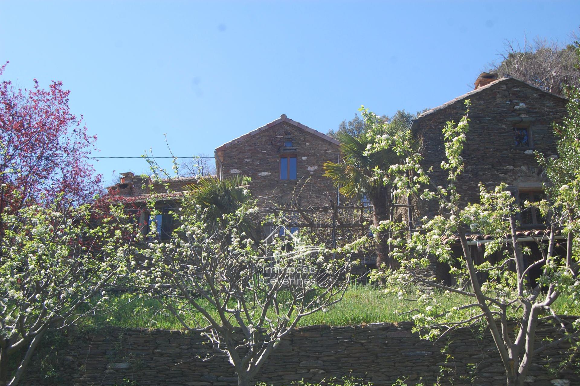 Maison à vendre, 170m², Le Collet-de-Dèze