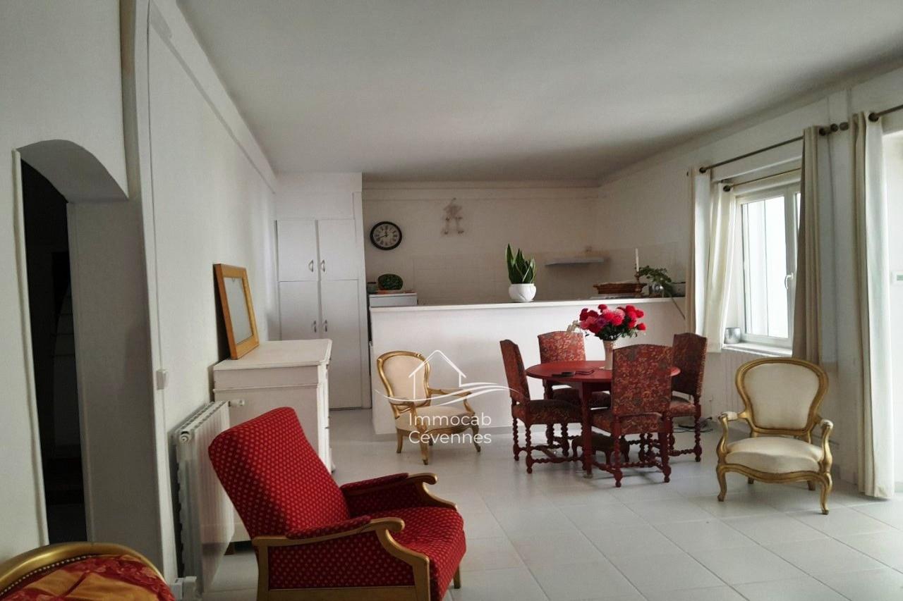 Maison à vendre, 172m², Alès