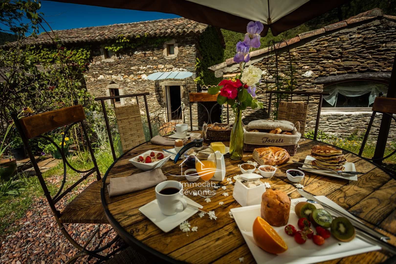 Maison à vendre, 350m², Alès