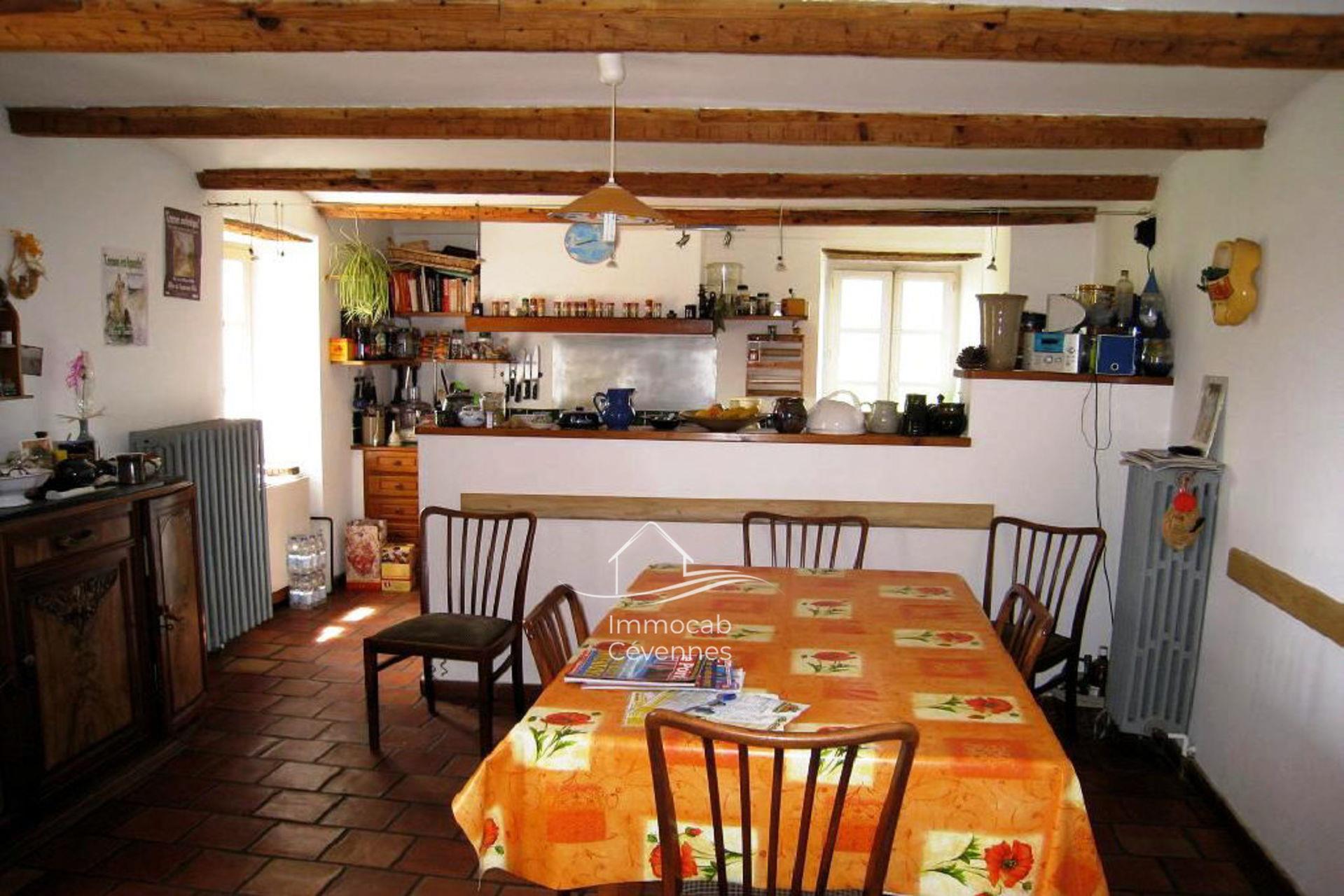 Maison à vendre, 500m², Alès
