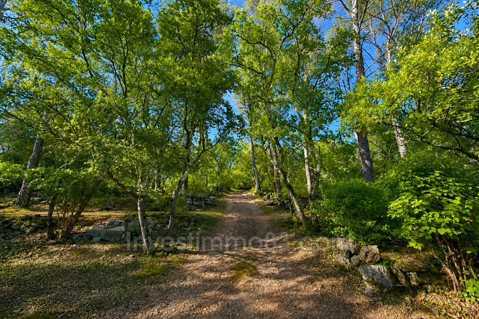 Maison à vendre, 75m², Cotignac