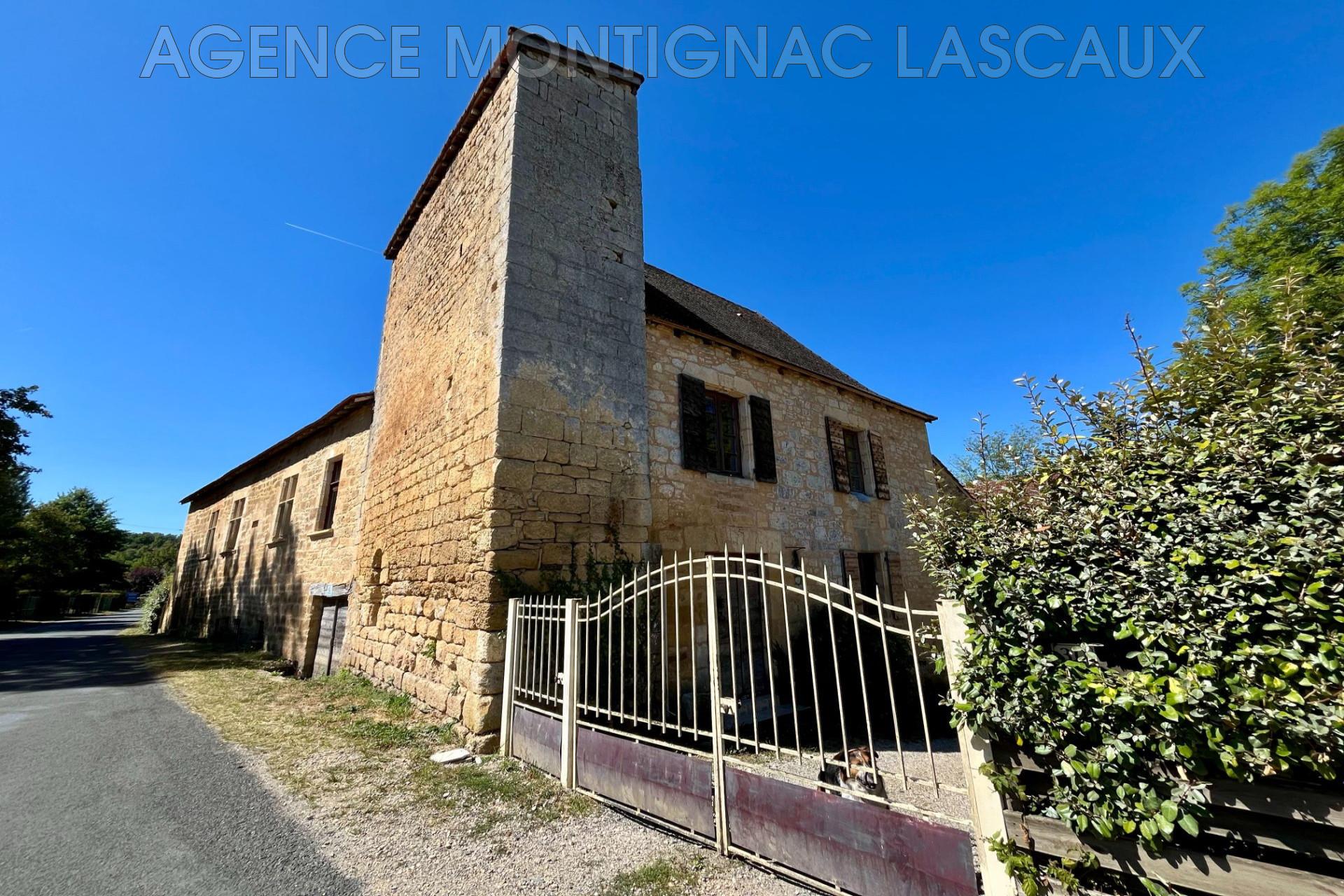 Maison à vendre, 360m², Montignac-Lascaux