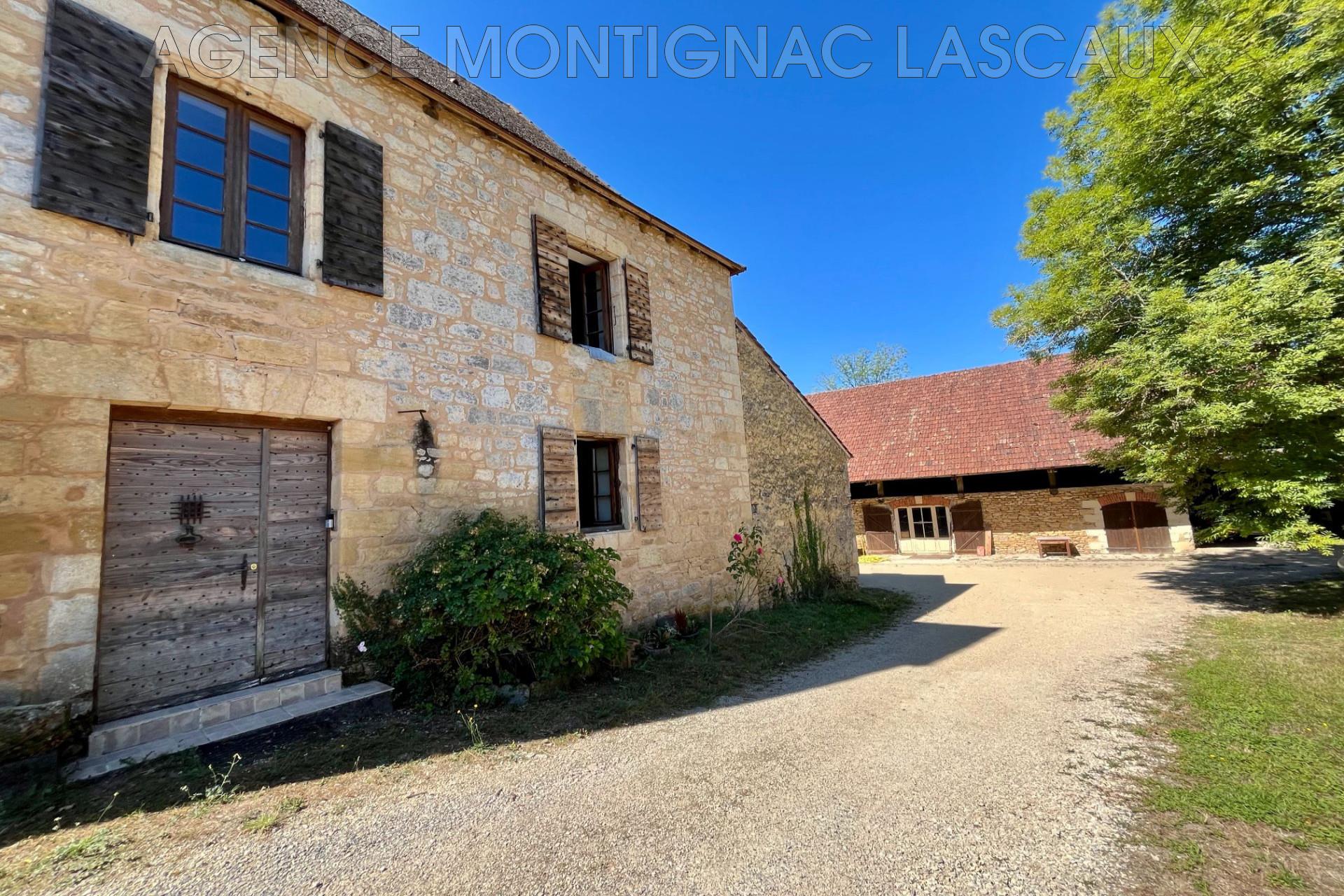 Maison à vendre, 360m², Montignac-Lascaux