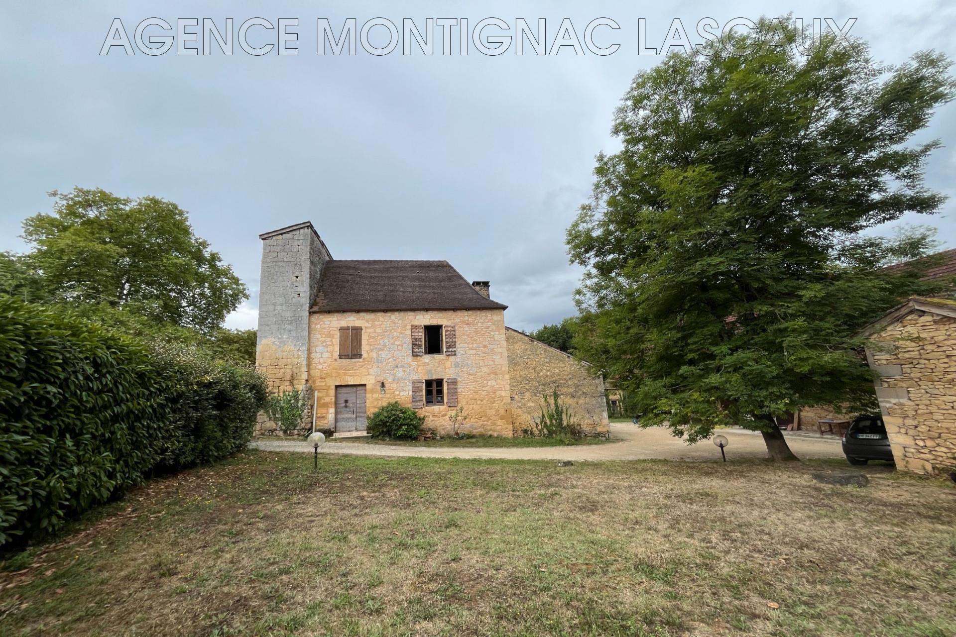 Maison à vendre, 360m², Montignac-Lascaux