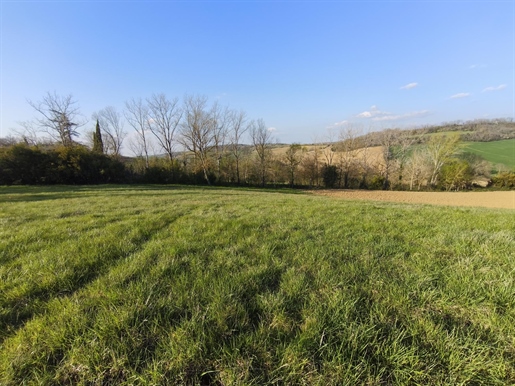 Advert pic 0