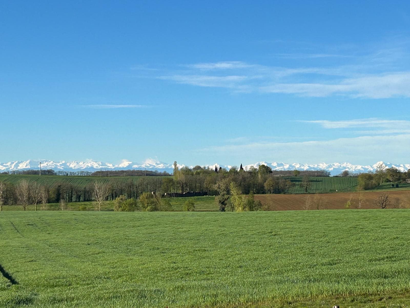 Maison à vendre, 265m², Mauvezin
