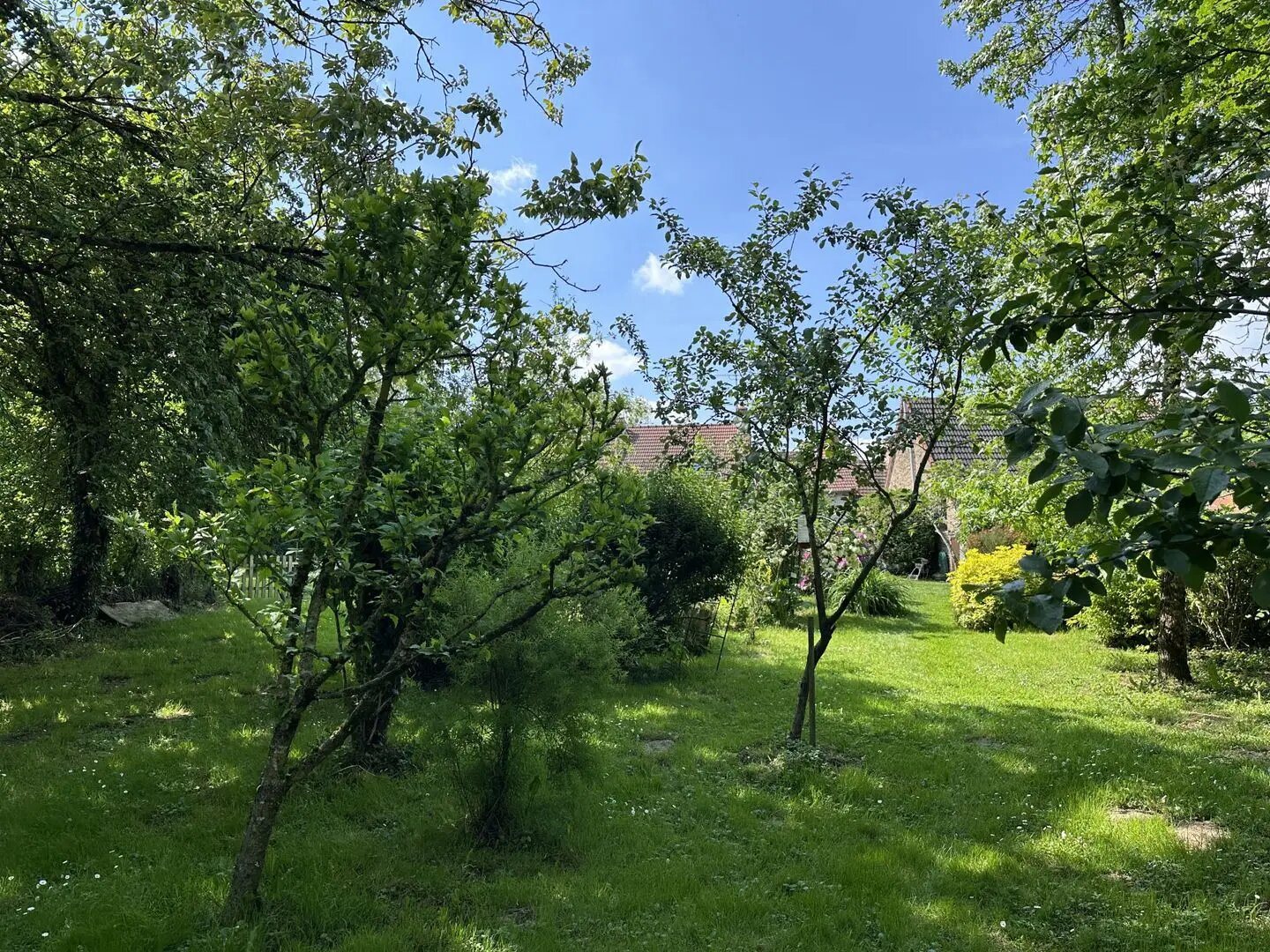 Maison à vendre, 98m², Nouzerines