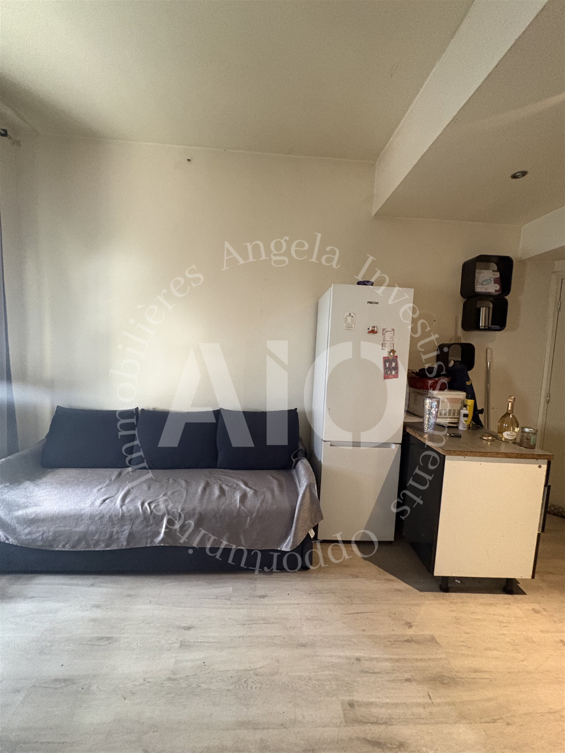 Appartement à vendre, 33m², Lyon 6ème