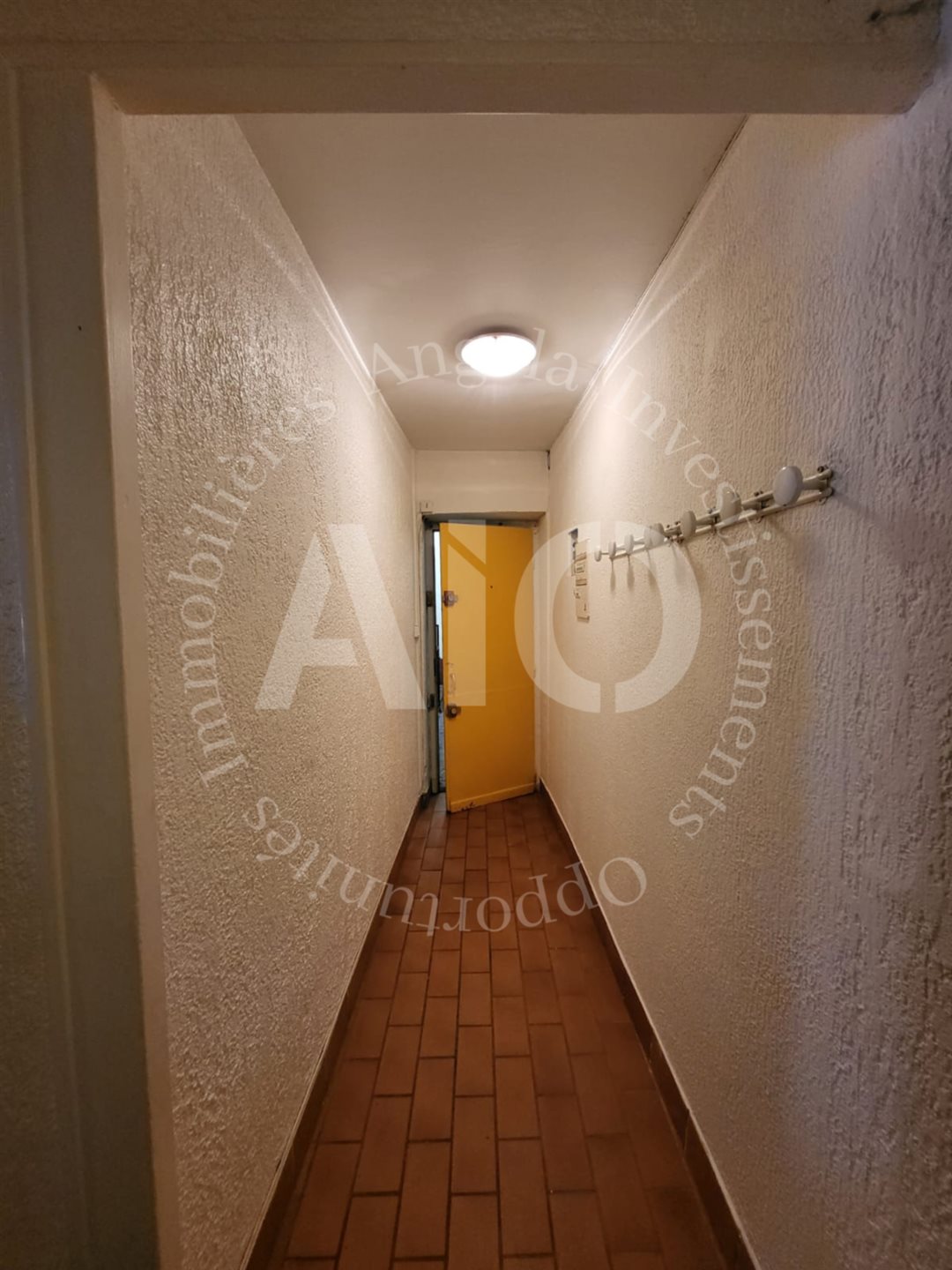 Appartement à vendre, 43m², Caluire-et-Cuire