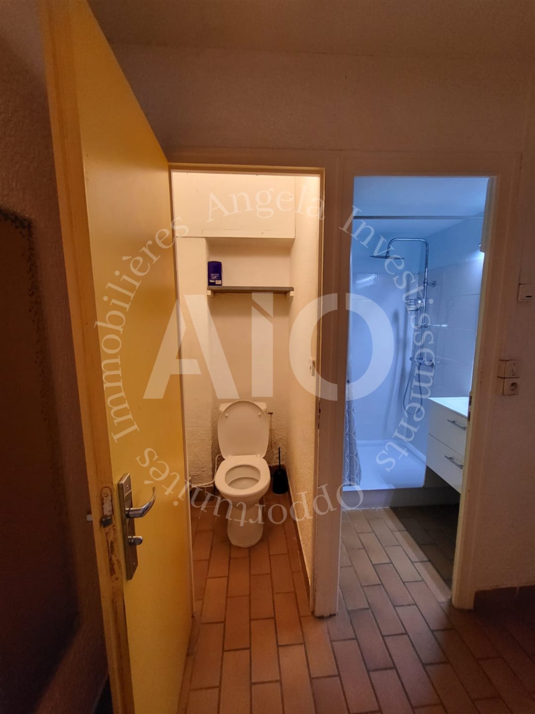 Appartement à vendre, 43m², Caluire-et-Cuire