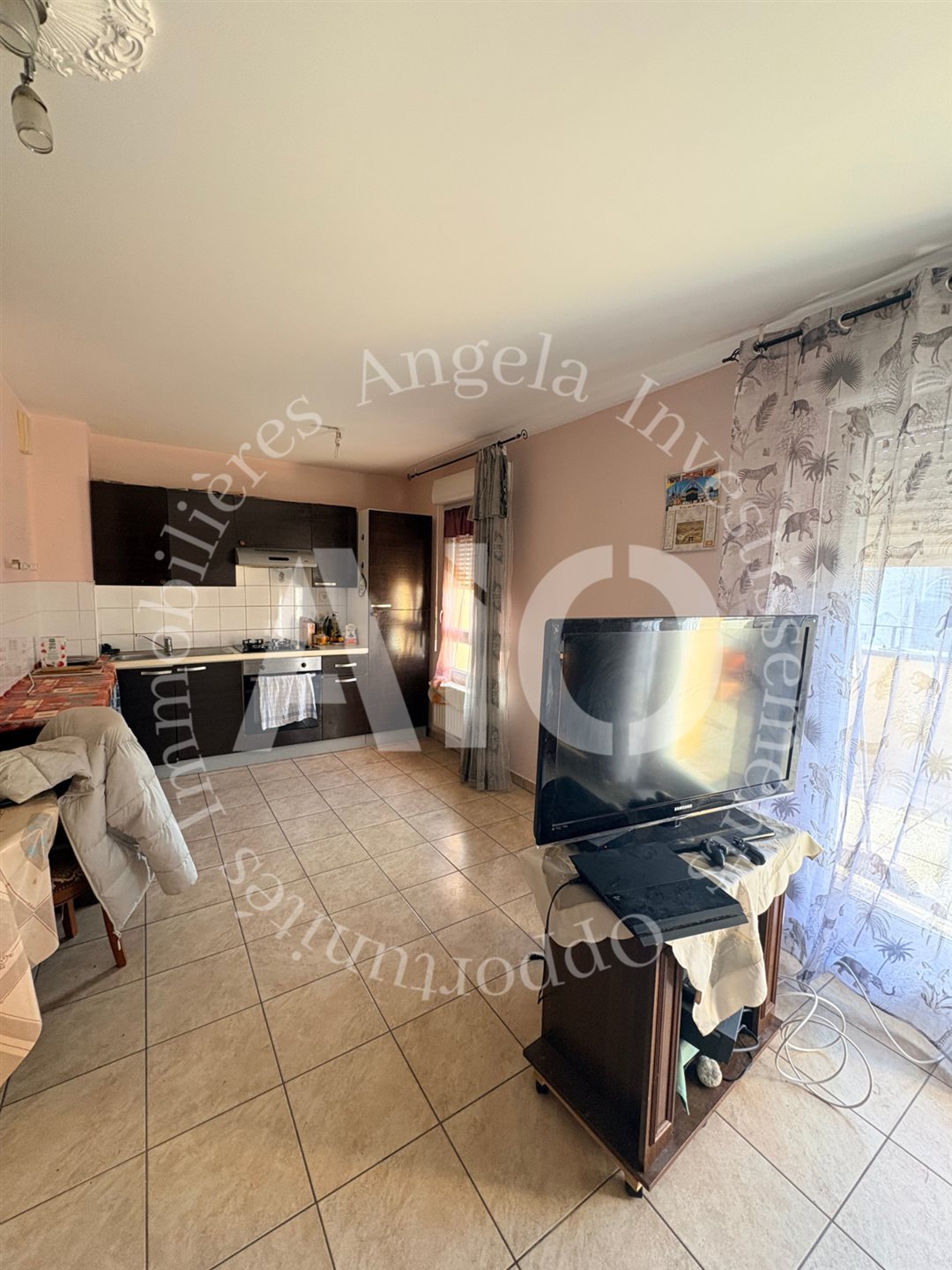 Appartement à vendre, 52m², Villeurbanne