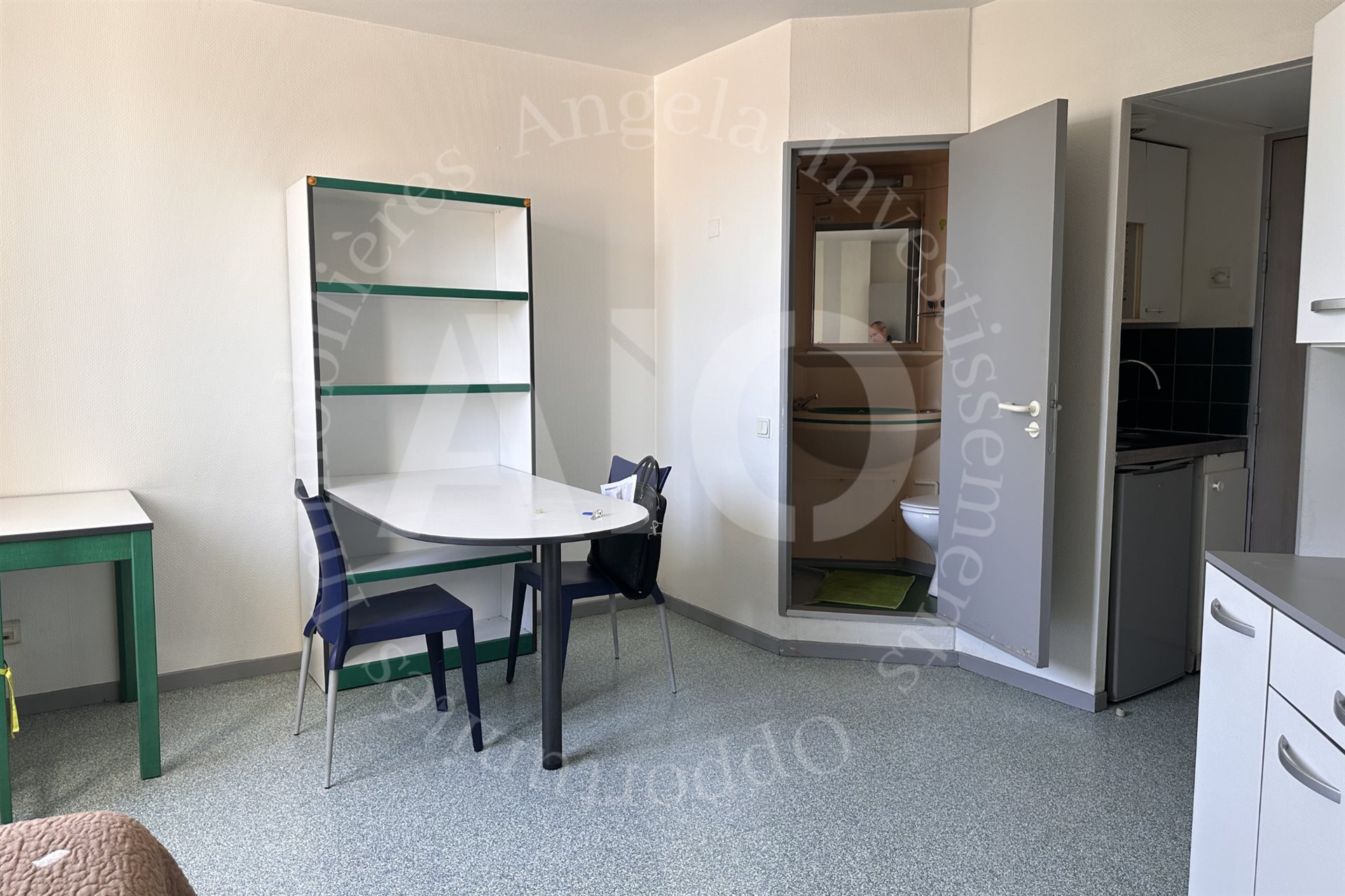 Appartement à vendre, 29m², Lyon 7ème