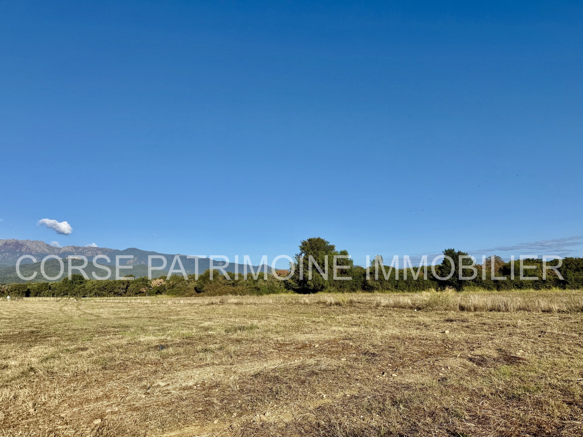 Maison à vendre, 1032m², Prunelli-di-Fiumorbo