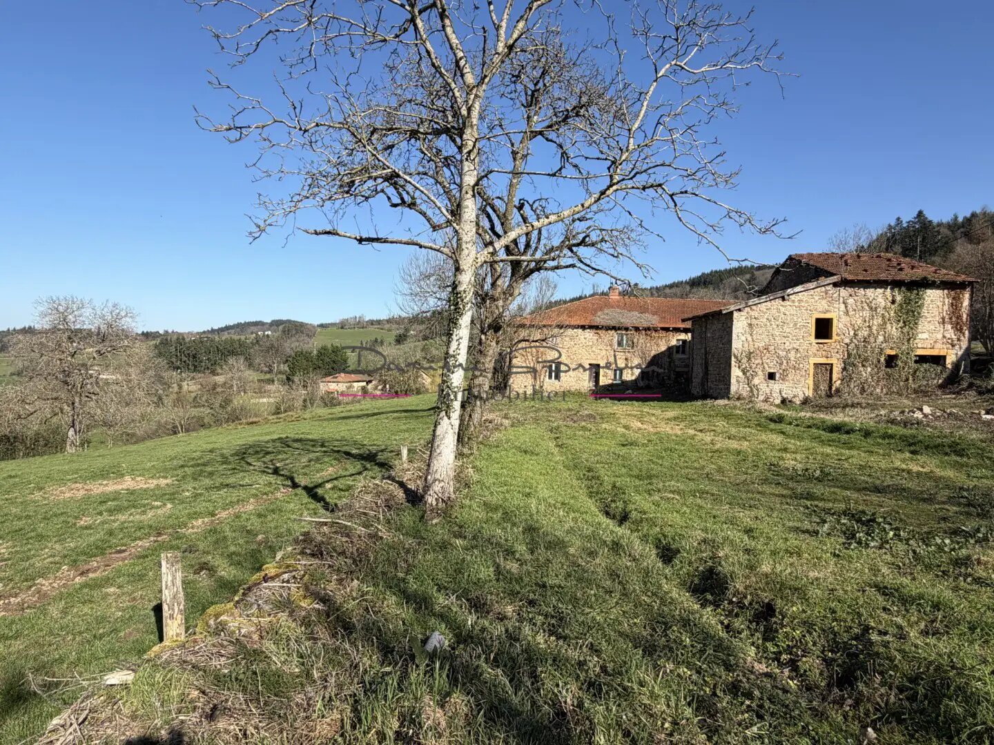 Maison à vendre, 190m², Cours-la-Ville