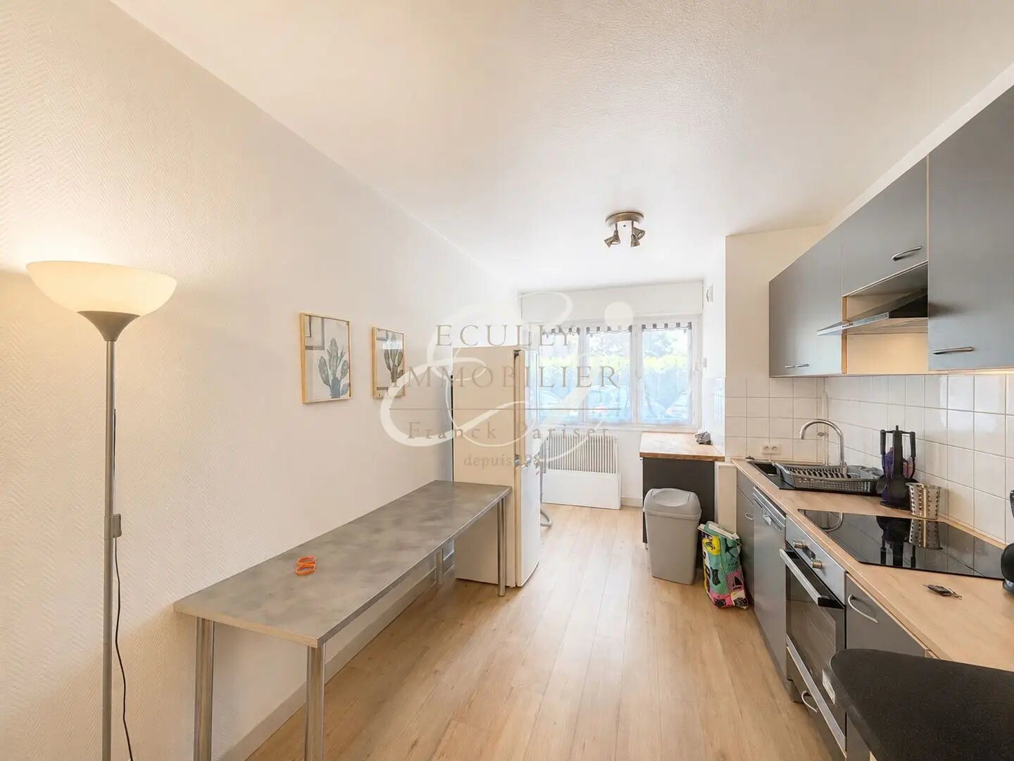Appartement à vendre, 48m², Ecully