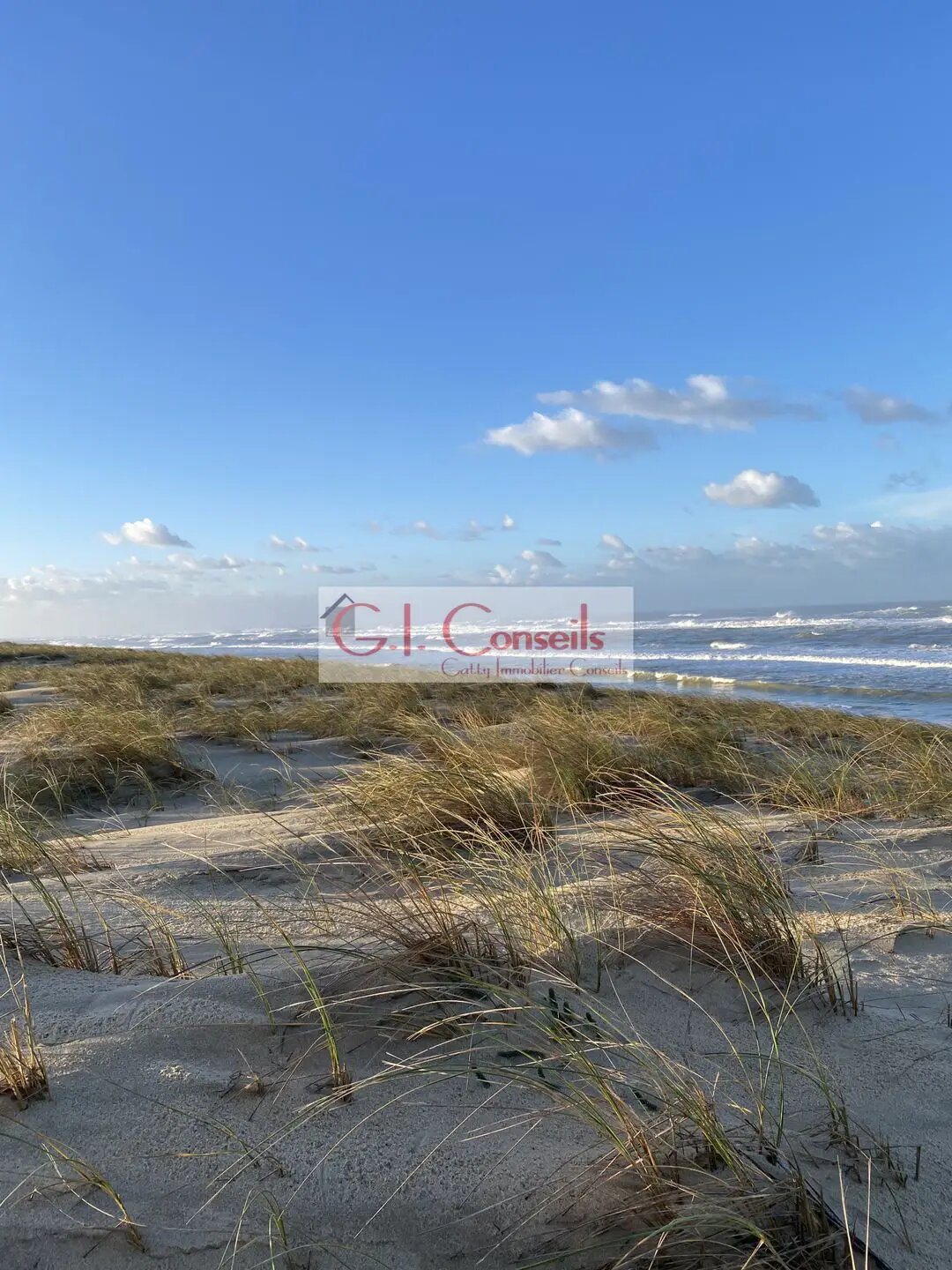 Maison à vendre, 248m², Lège-Cap-Ferret
