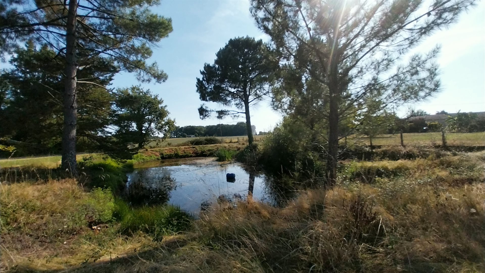 Maison à vendre, 200m², Razac-sur-l'Isle