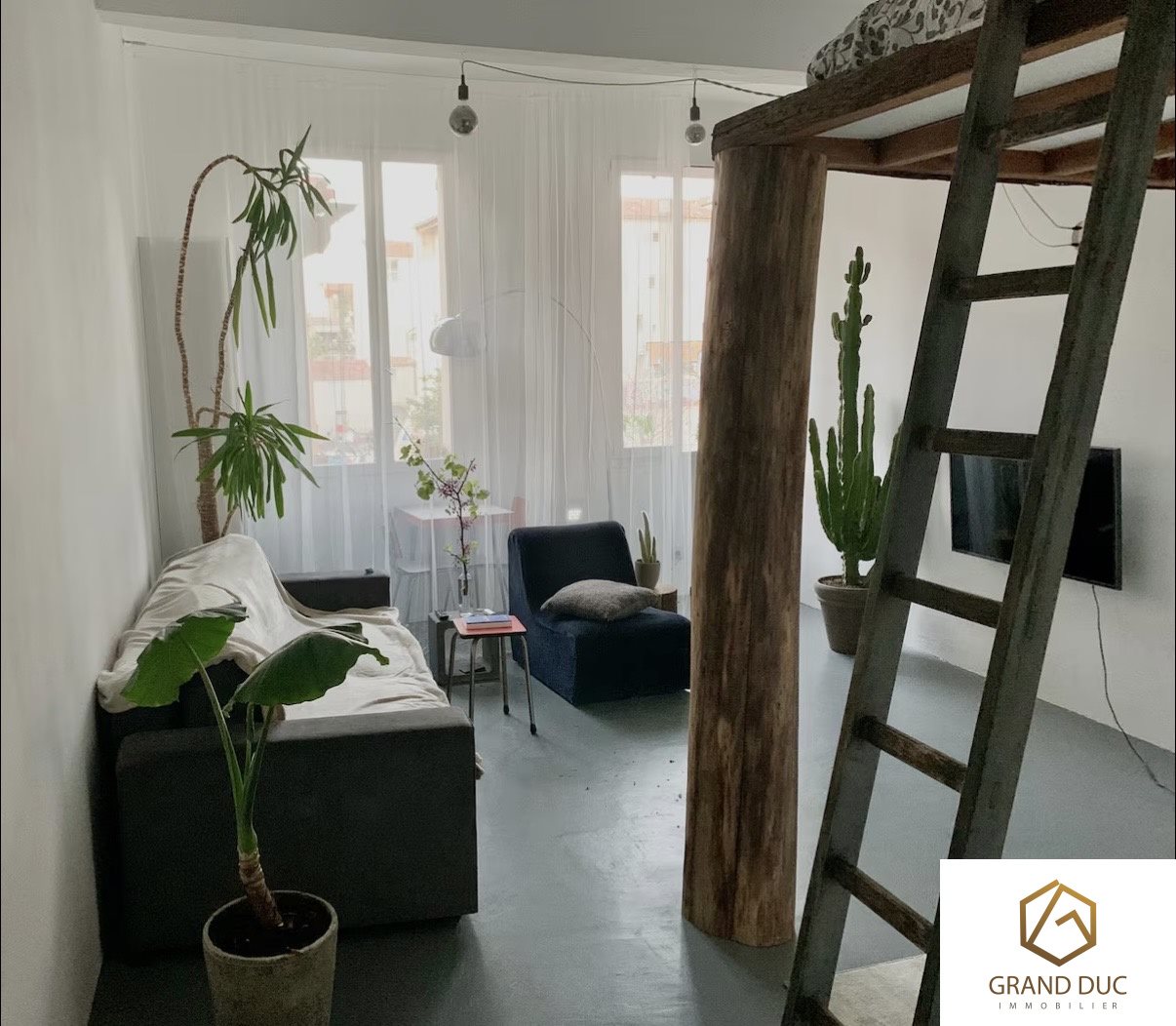 Appartement à louer, 34m², Marseille 2ème