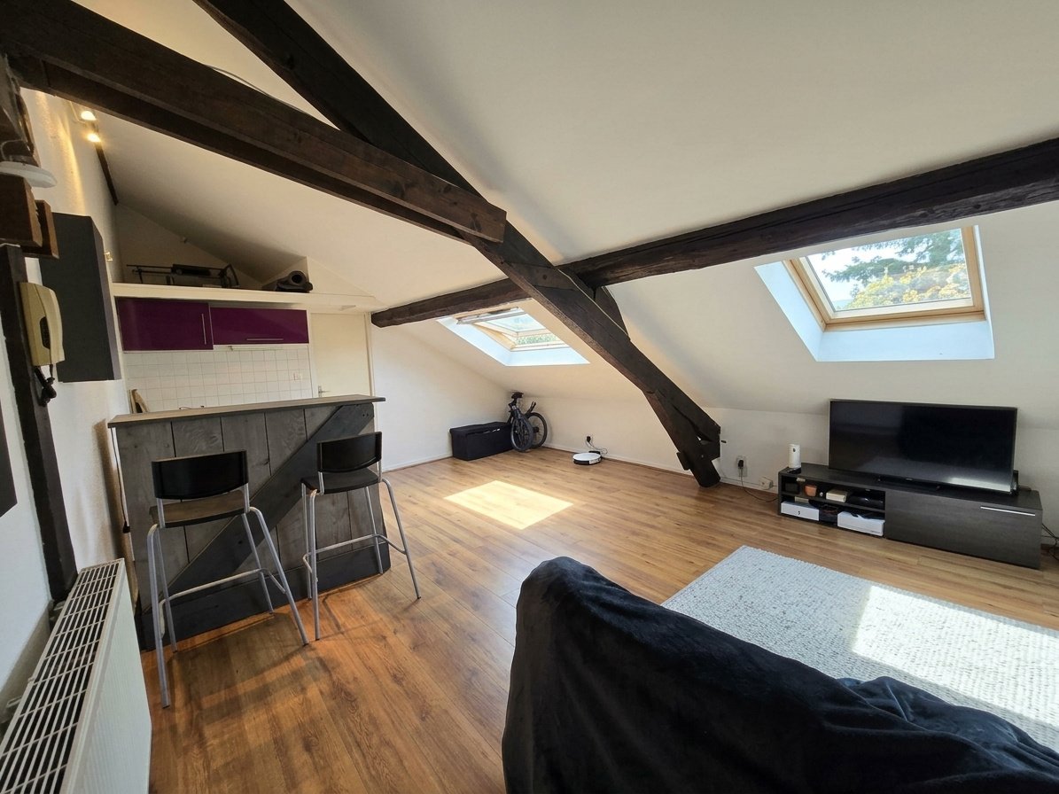Appartement à vendre, 21m², Nancy