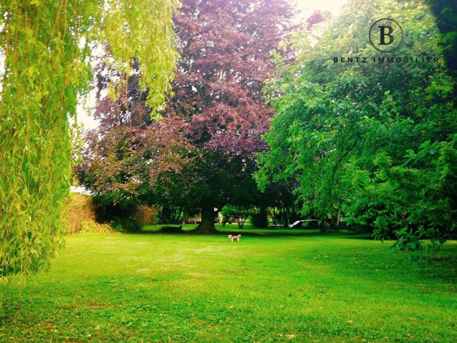 Maison à vendre, 80m², Oberhausbergen