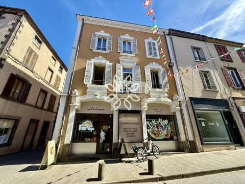 Maison à vendre, 233m², Brioude