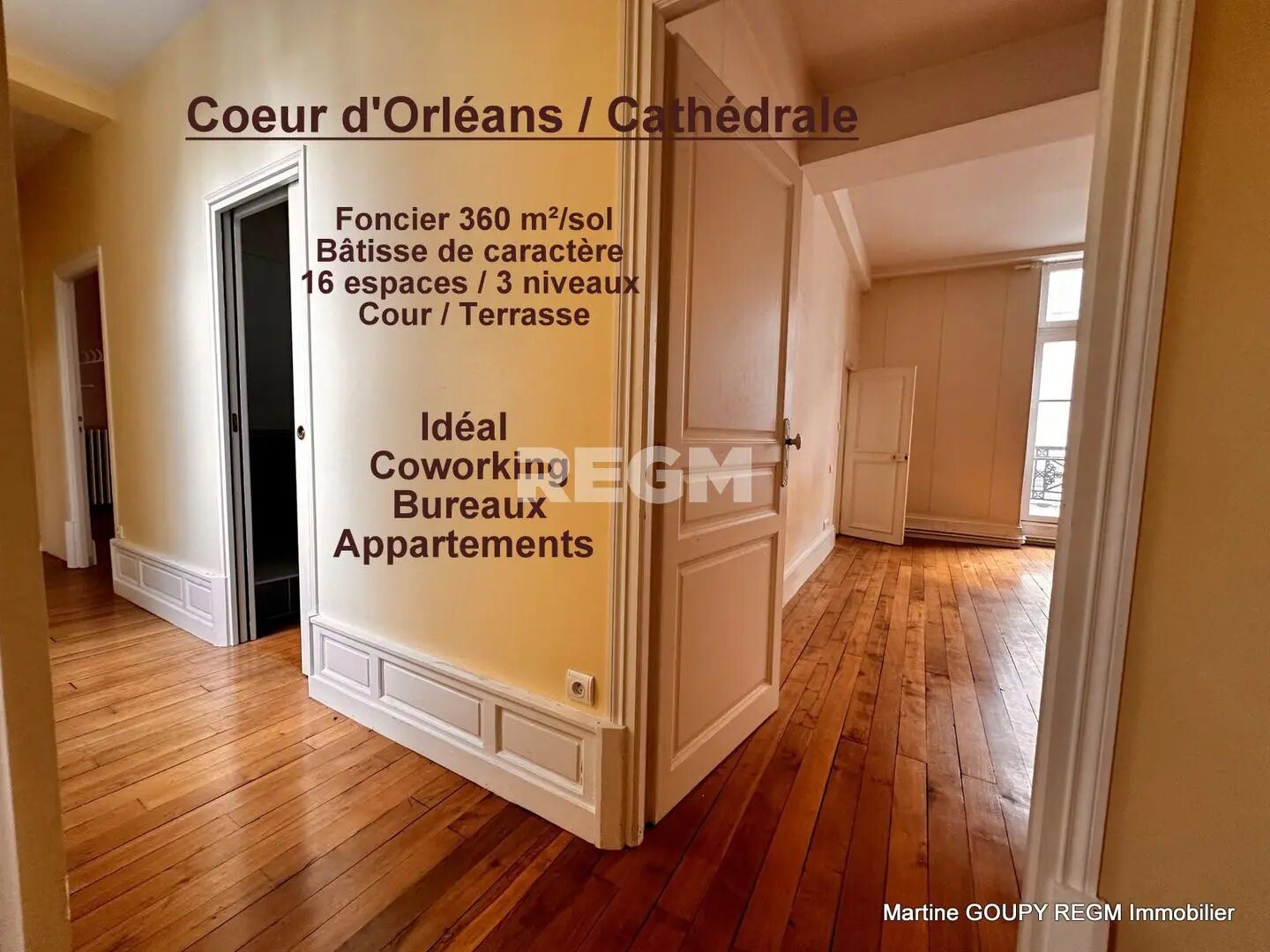 Maison à vendre, 341m², Orléans