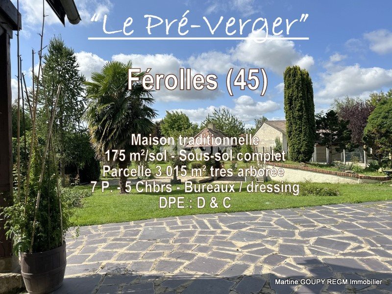 Maison à vendre, 175m², Férolles