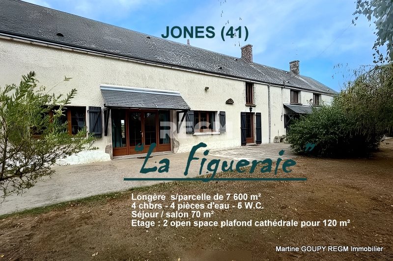 Maison à vendre, 350m², Josnes