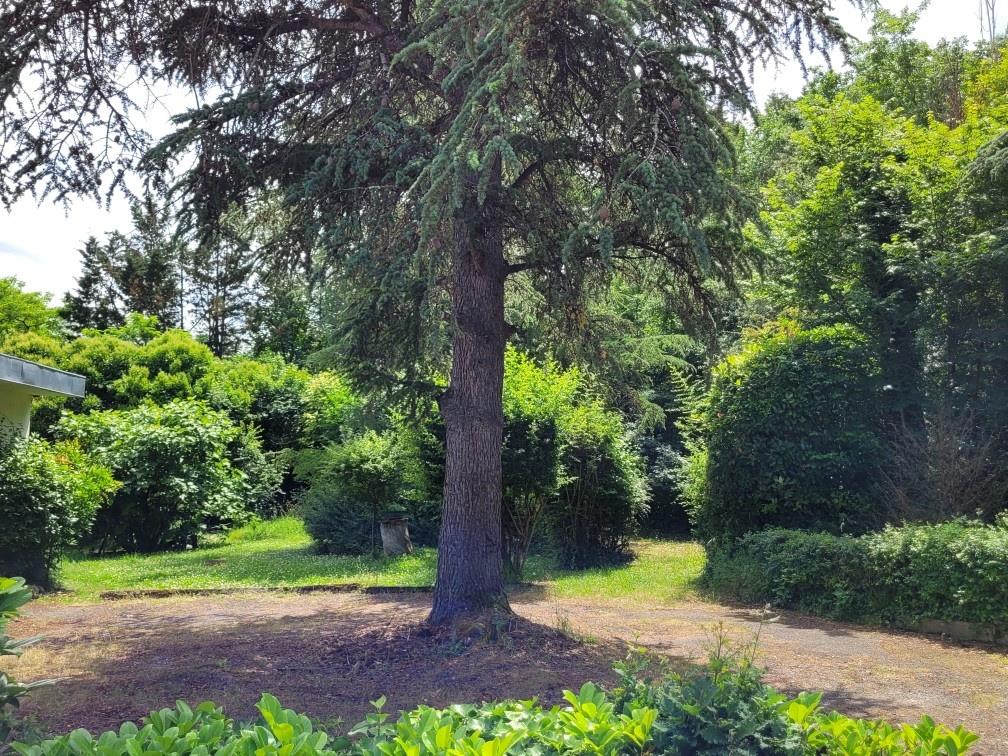 Appartement à vendre, 394m², Auch