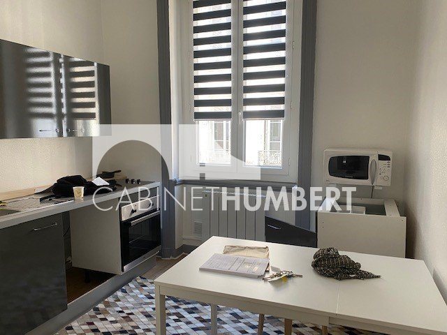 Appartement à louer, 48m², Saint-Etienne