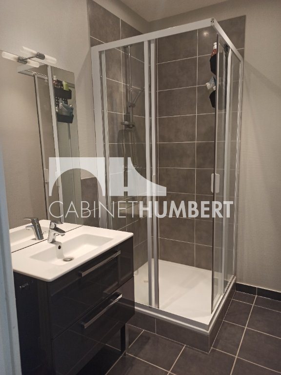 Appartement à louer, 42m², Saint-Etienne