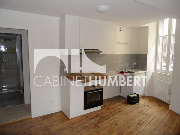 Appartement à louer, 40m², Saint-Etienne