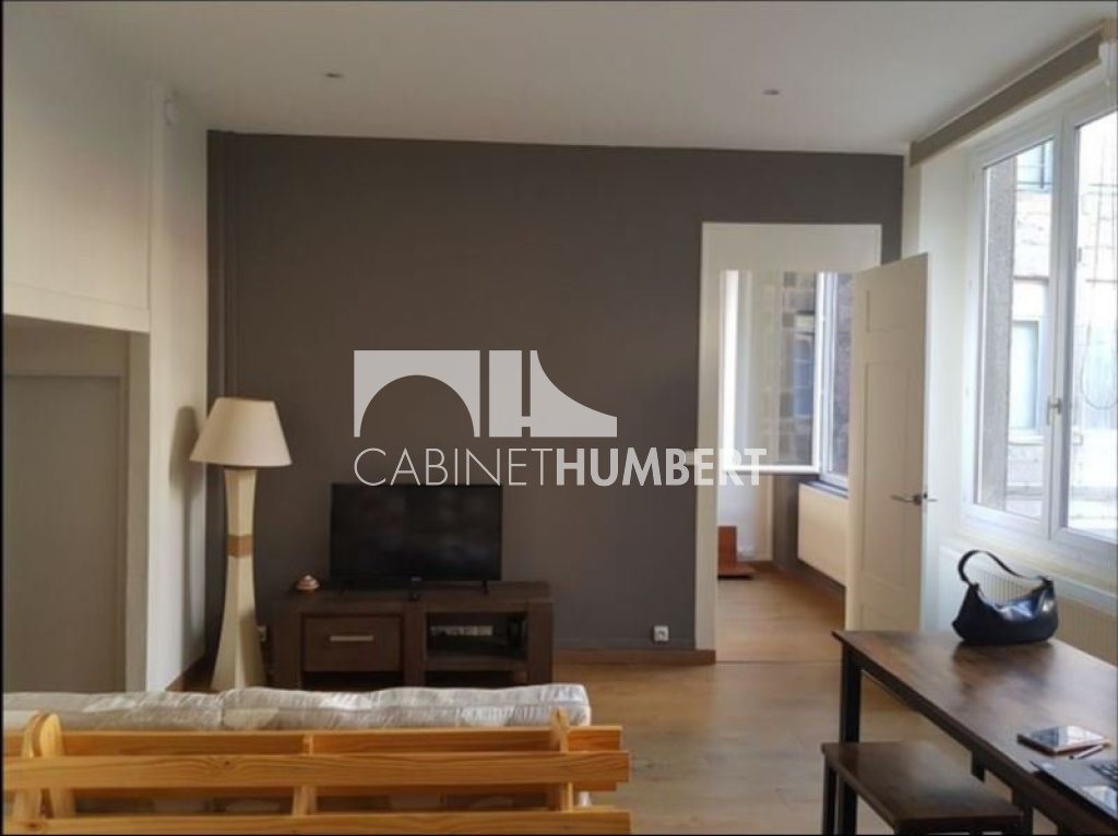 Appartement à louer, 44m², Saint-Etienne