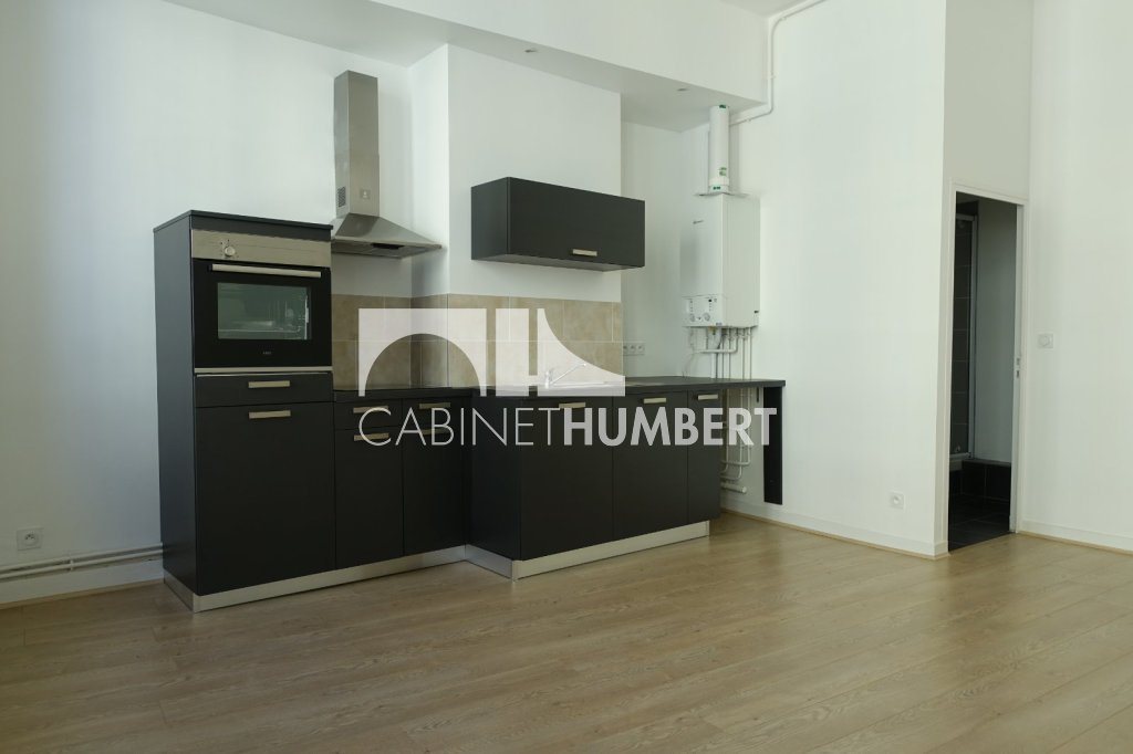 Appartement à louer, 47m², Saint-Etienne