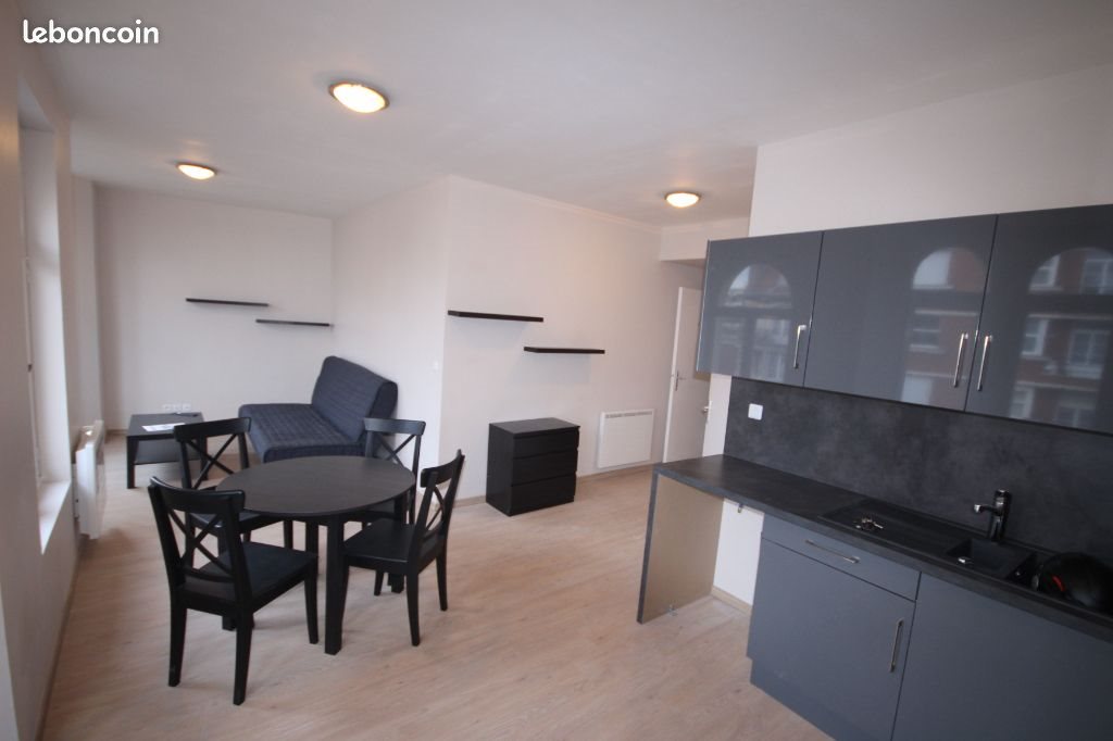 Appartement à louer, 40m², Lille