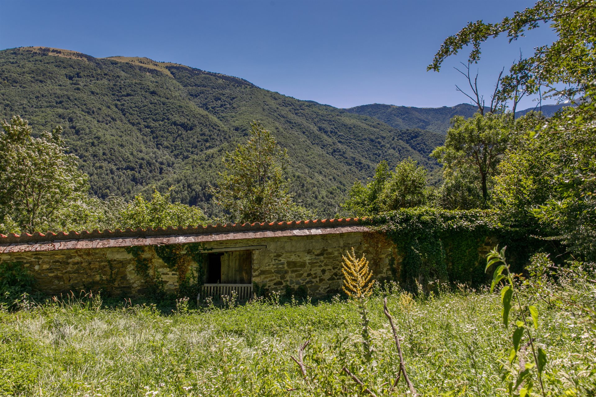 Maison à vendre, 180m², Prats-de-Mollo-la-Preste