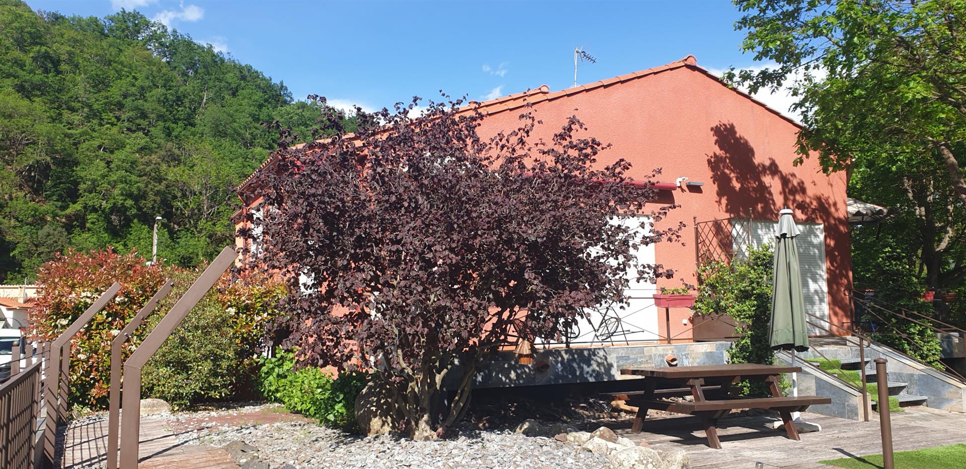 Maison à vendre, 131m², Prats-de-Mollo-la-Preste